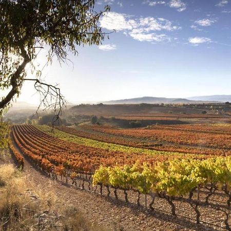 Villa La Rioja By Villas Rivero Logroño Dış mekan fotoğraf