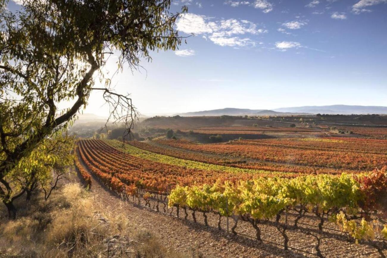 Villa La Rioja By Villas Rivero Logroño Dış mekan fotoğraf